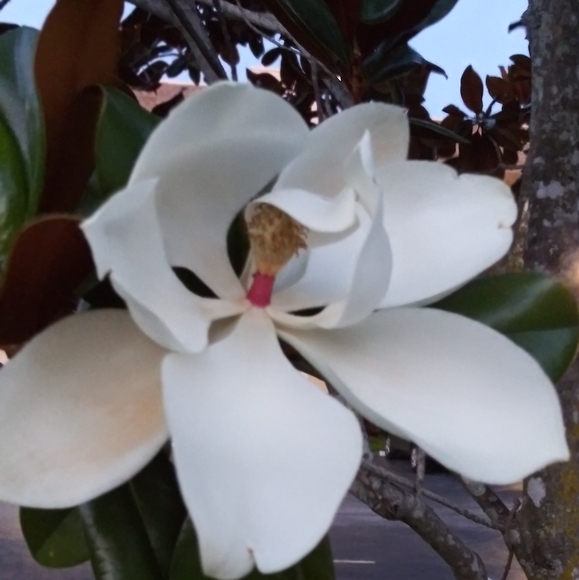 Meet your Posher, Maria - Picture 10 of 16